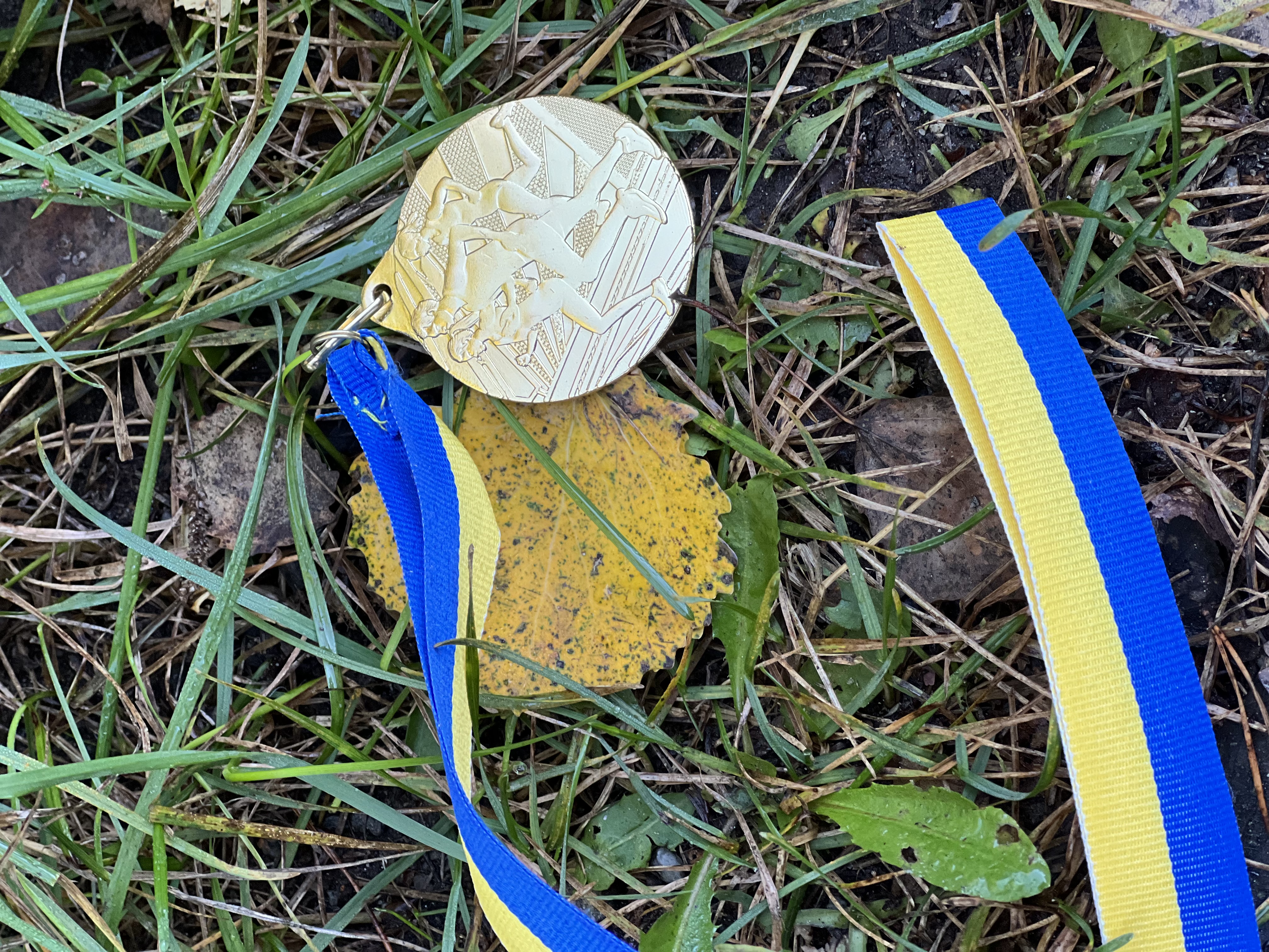 Skoljoggen 1.jpg