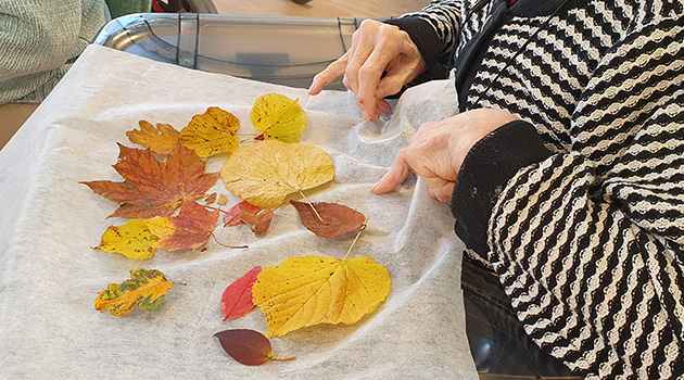 20251021 Höstlöv 3 630x350.jpg