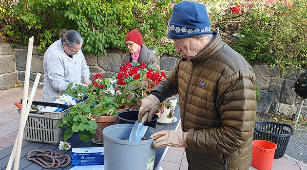 20251014 Höströj 1 630x350.jpg