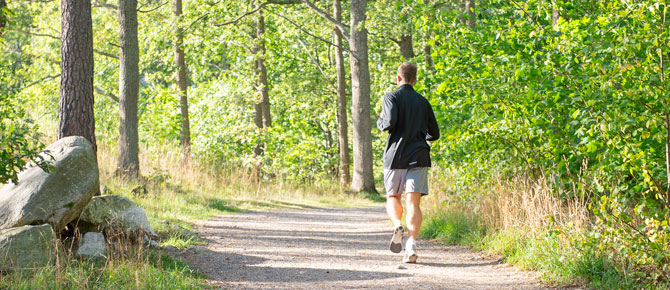 Man som jobbar i naturreservatet Långsjön