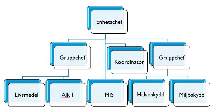 miljöenhetens organisationsschema