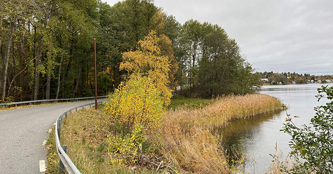 Bild som visar en del av sträckan på Saltsjöbadsvägen som kommer att få belysning