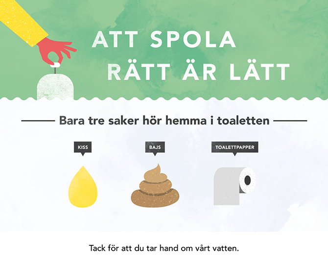 kiss, bajs och toalettpapper hör hemma i toaletten