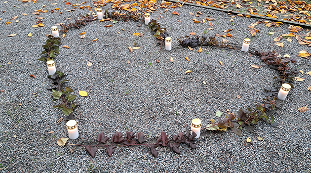 20251031 Hjärta 630x350.jpg