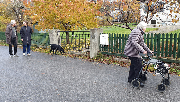 20251028 Höstpromenad 1 630x350.jpg