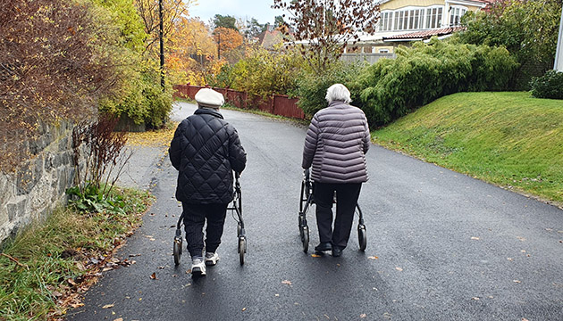 20251028 Höstpromenad 3 630x350.jpg