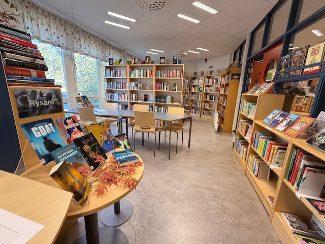 Biblioteket hög 4.jpg