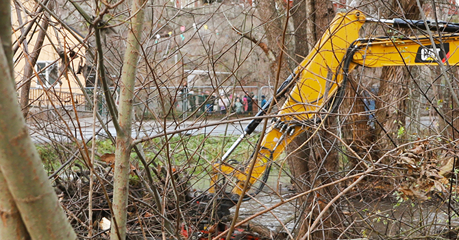 Sågsjöbäckens fisklekplats - nov. 2025 (48) 670X350.jpg