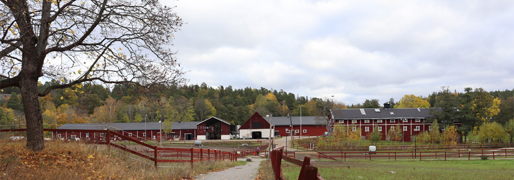 GamlaRidanläggningen1000x350.jpg