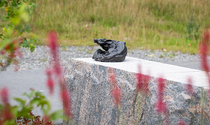 Akraka17 kopiera.jpg