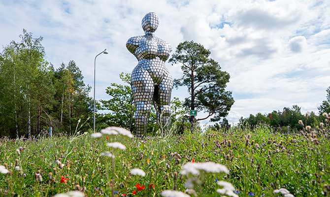 Silverlady2 kopiera.jpg