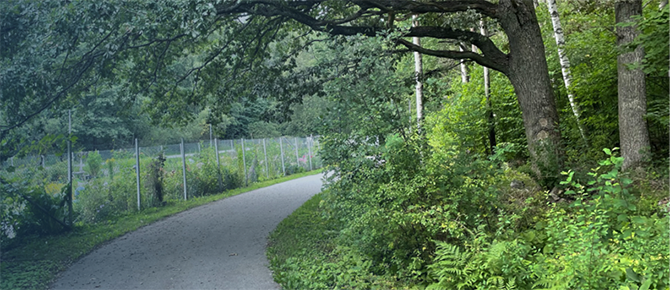 Gröna dalen.3 670x290.png