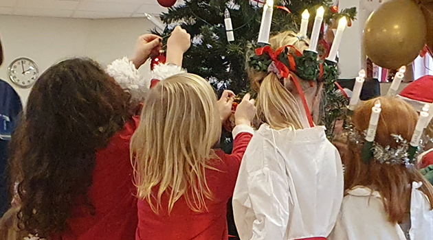 20251215 Lucia 2 630x350.jpg