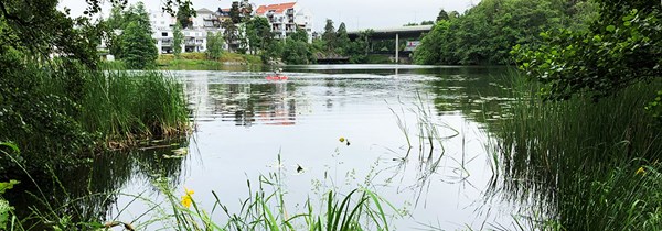 Bastusjön