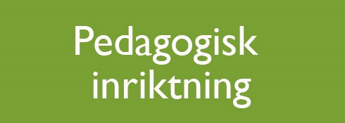 Pedagogisk inriktning