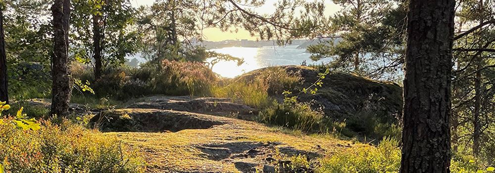 Nacka säkrar mer natur – 30 procent av kommunens land- och ...