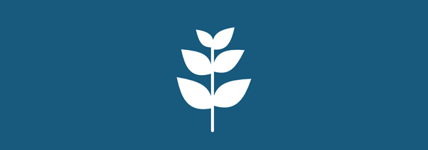 illustration planta