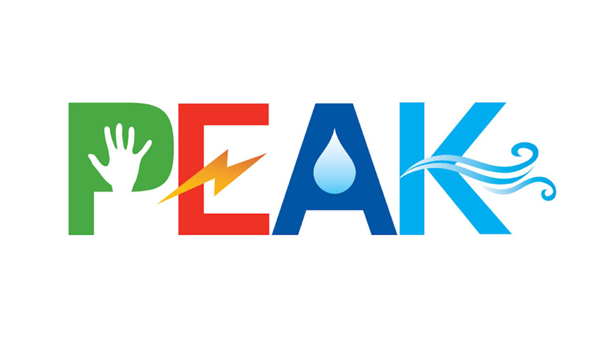 Logotyp PEAK