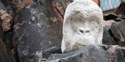 Konstvandringar med guide