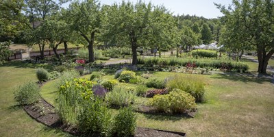 Biologiska mångfaldens dag i Nyckelviken