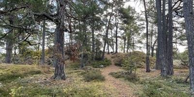 Invigning av Baggenstäkets kulturreservat