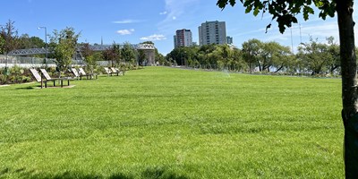 Parkernas dag i Kyrkviksparken