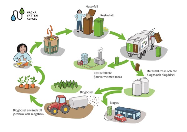 Illustration Emma Westerberg: Matavfallets kretslopp