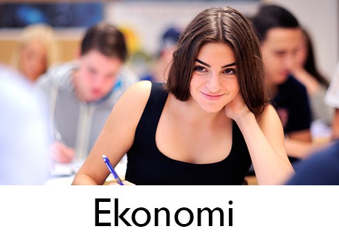 Ekonomiprogrammet